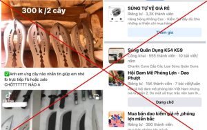 mua kiem tren mang 1